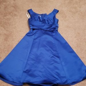 Blue DB dress